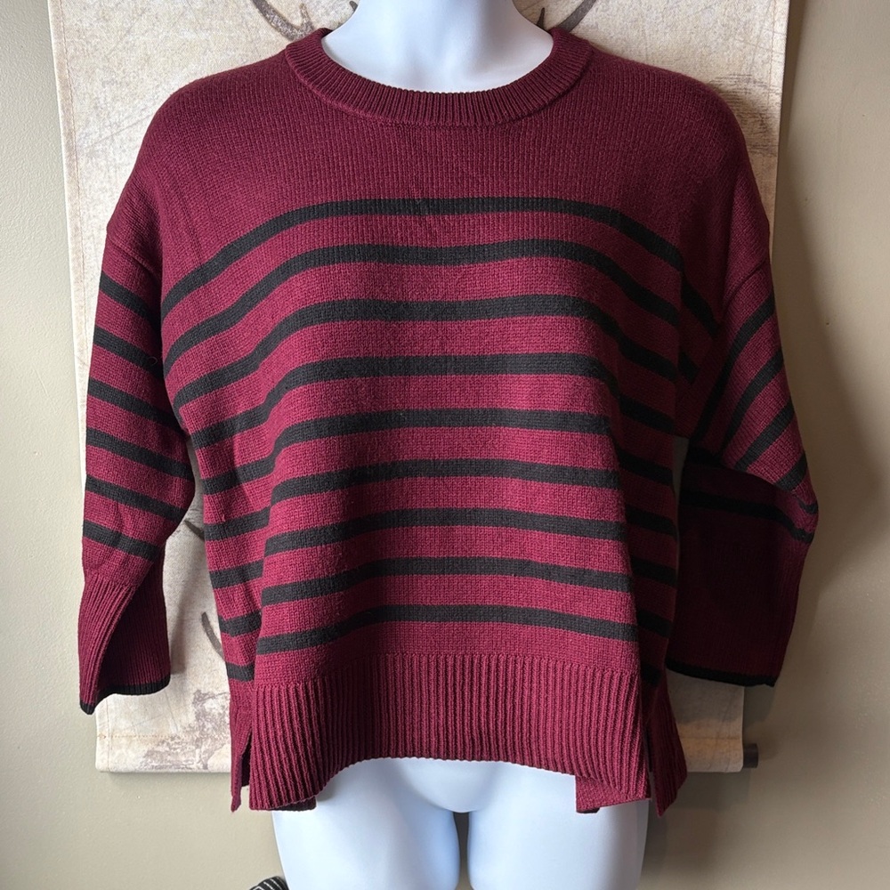 Philosophy Burgundy and Black Striped Sweater
